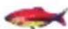 Lucky FF718LICW - Fisch Icon - 3