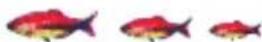 Lucky FF718LICW - Fisch Icon - 5