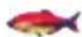 Lucky FF718LICW - Allarme Pesce - 4