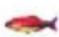 Lucky FF718LICW - Allarme Pesce - 7