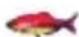 Lucky FF718LICW - Fish Alarm— - 4