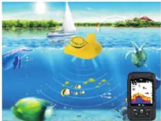 Lucky FF718LICW - Using the Wireless sonar sensor - 1