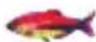 Lucky FF718LICW - Allarme Pesce - 2
