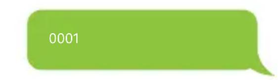Techly IALARMKIT001 - Wechseln der System-Sprache - 1