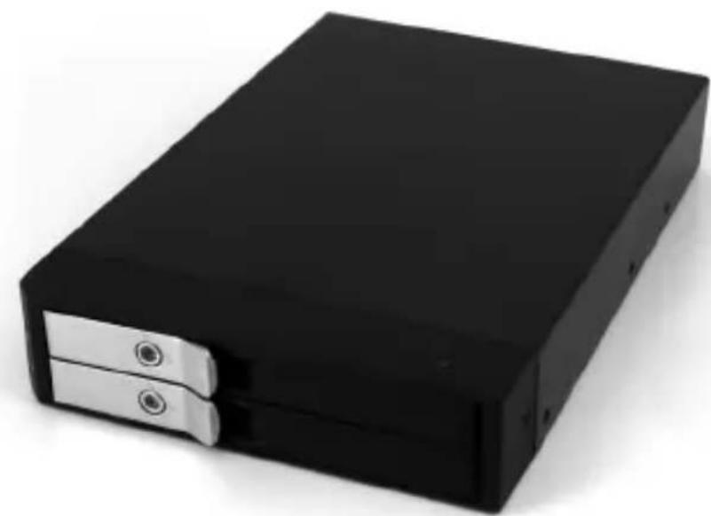 StarTech.com SATDOCK2520 - Rack mobile SATA sans plateau 3.5" pour deux disques durs 3.5 - 1