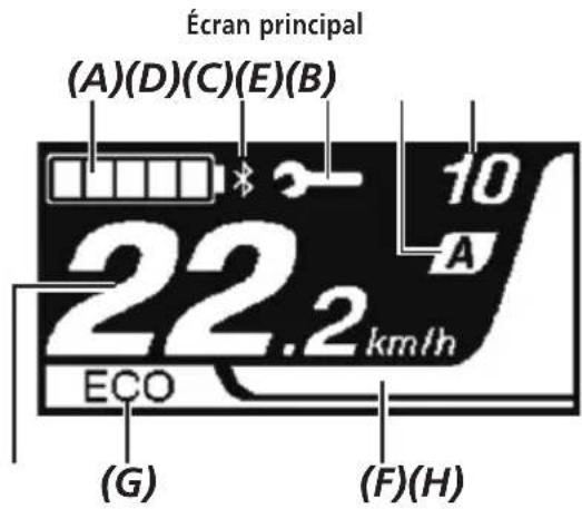 SHIMANO SCEM800 - Fichage de l'écran - 1
