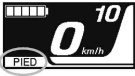 SHIMANO SCE7000 - Massage au mode [PIED] (mode d'assistance à la marche) - 3