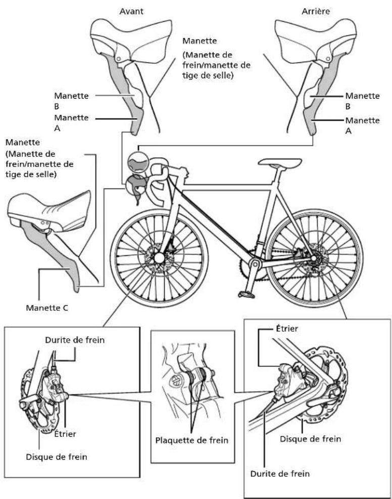 SHIMANO STR8025R - Noms des pièces - 1