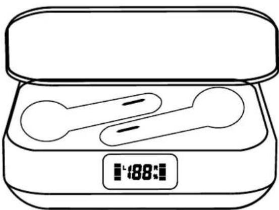Avenzo AVTW5007 - Use of Power Bank: - 1