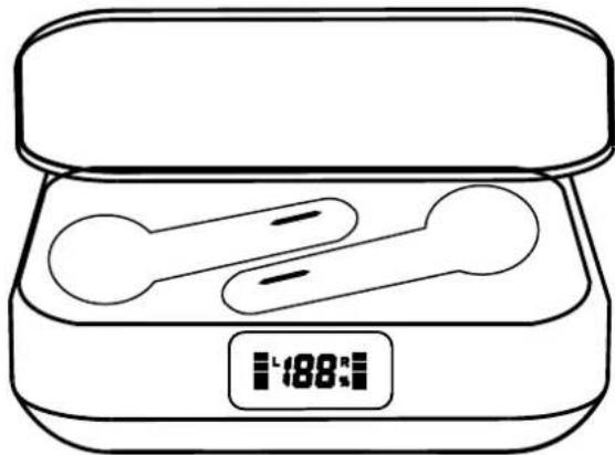 Avenzo AVTW5007 - Uso do Power Bank: - 1