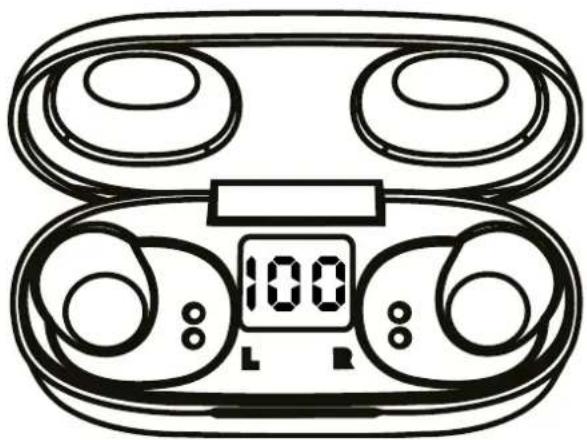 Avenzo AVTW5006 - Use of Power Bank: - 1