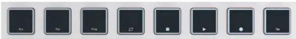 Arturia MiniLab 3 - Pads - 1