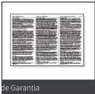 de Garantia