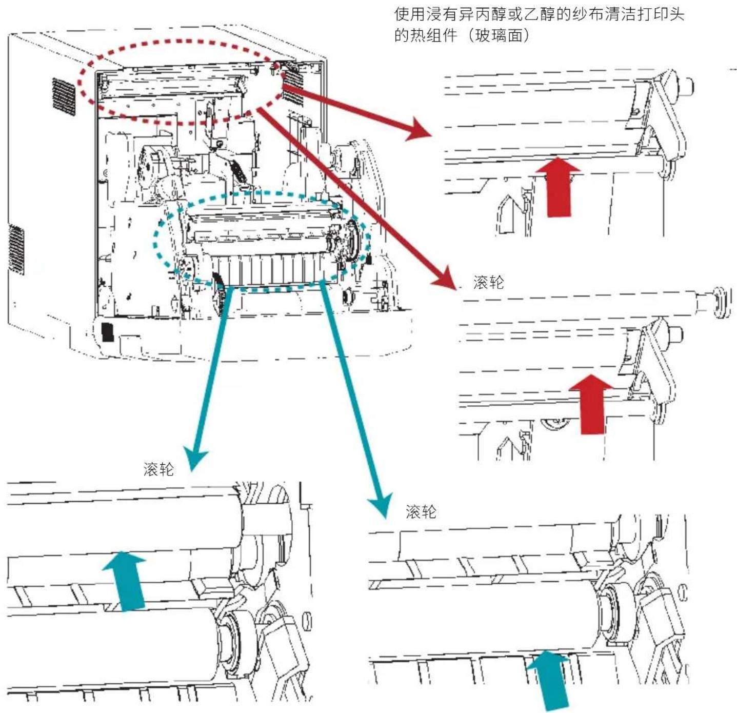 使用浸有异丙醇或乙醇的纱布清洁打印头 的热组件(玻璃面) 滚轮 滚轮 滚轮