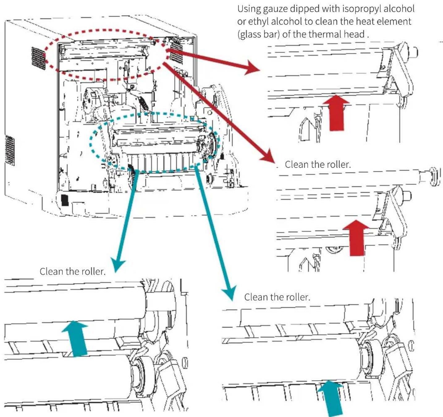 Using gauze dipped with isopropyl alcohol or ethyl alcohol to clean the heat element (glass bar) of the thermal head. Clean the roller. Clean the roller. Clean the roller.