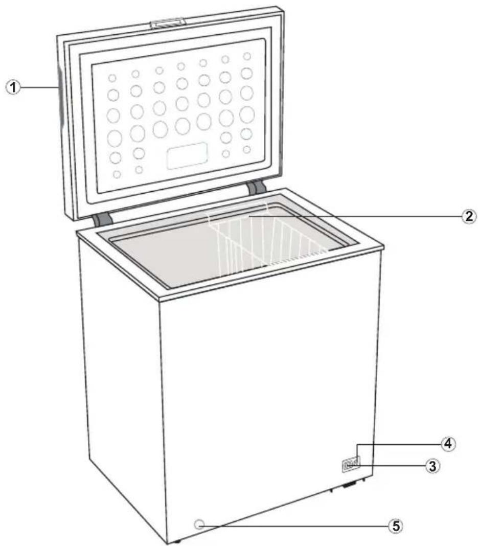 BEKO CF316WN - Aperçu - 1