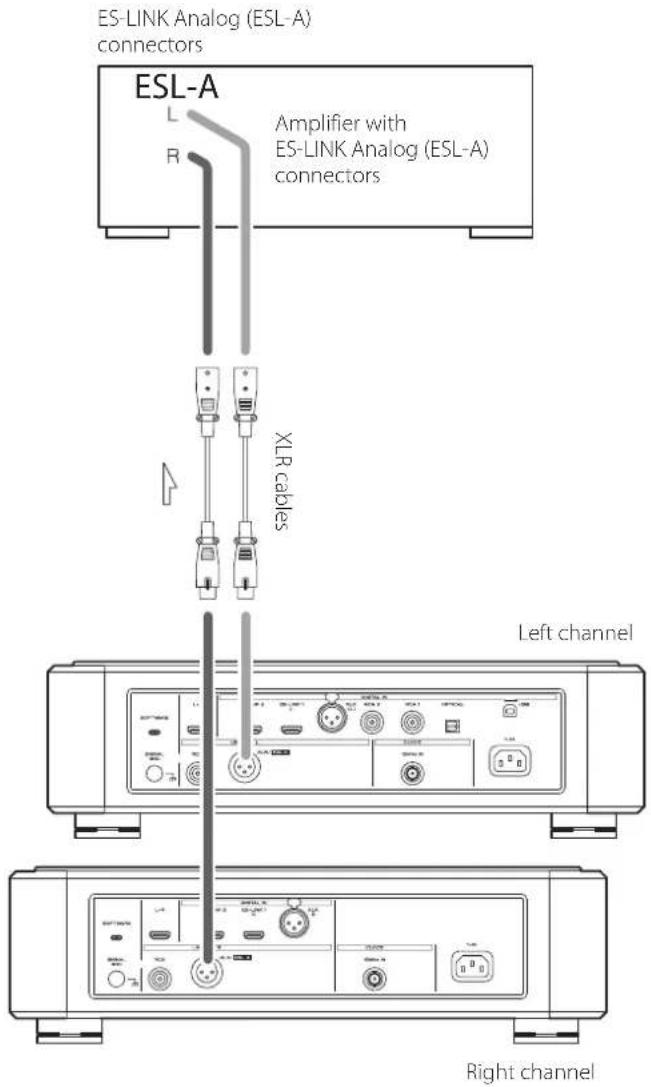 Esoteric Grandioso D1X - Precautions for use Connections - 1