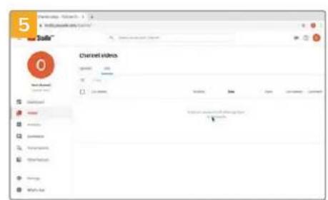 Blackmagic Design Video Assist 12G - 使用Open Broadcaster - 4