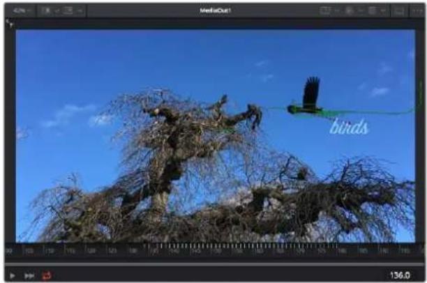 Blackmagic Design Video Assist 12G - 使用动态跟踪器和添加文本工具 - 4