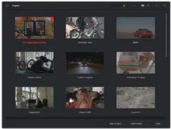 Blackmagic Design Video Assist 12G - Gerente de Projetos - 1