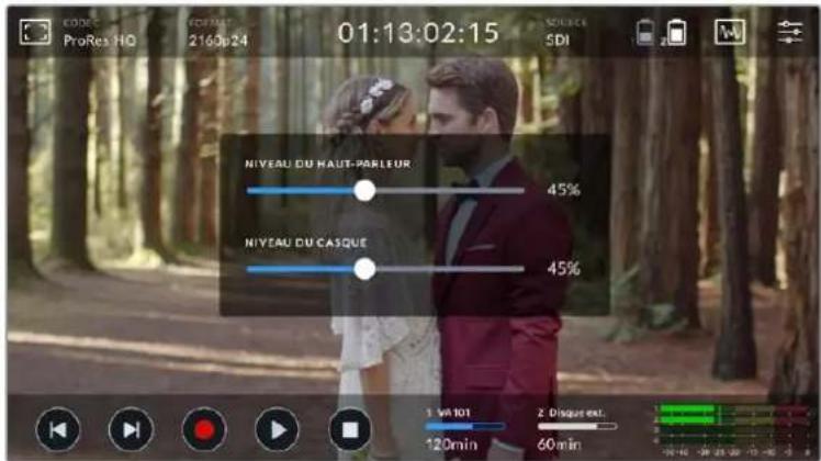 NIVEAU DU HAUT-PARLEUR 45% NIYEAU DU CASQUE 45% 1 min 101 120min 2 Disques ext. 60min
