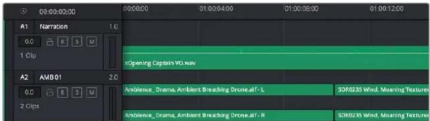 Blackmagic Design Video Assist 12G - La timeline audio - 1
