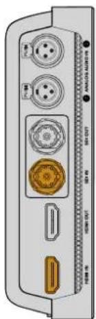Blackmagic Design Video Assist 12G - 连接视频 - 1