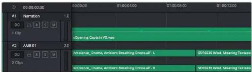 Blackmagic Design Video Assist 12G - 오디오 타임라인 - 1