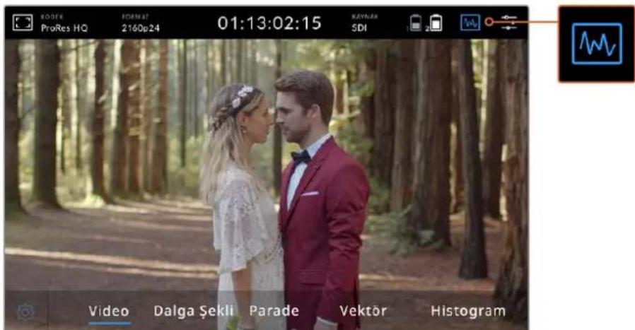 ROSEE ProRes HQ FORMAT 2160p24 01:13:02:15 NAVAN SDI Video Dalga Şekli Parade Vektör Histogram