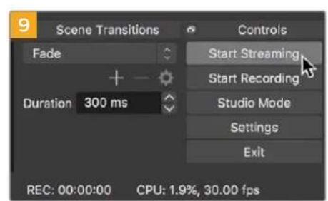Blackmagic Design Video Assist 12G - 使用Open Broadcaster - 8