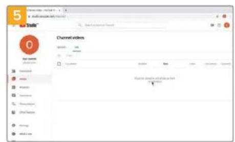 Blackmagic Design Video Assist 12G - Open Broadcaster - 5