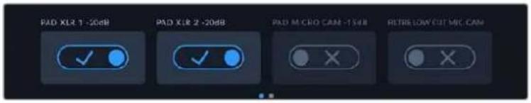PAD XLR 1 -20dB PAD XLR 2 -20dB PAD MICRO CAM -15dB FILTER LOW CUT SRC CAM