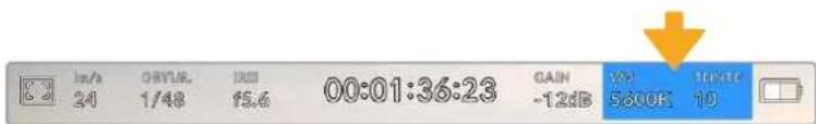1m/s 24 ORYLE 1/48 RUS 15.6 00:01:36:23 GAIN -1.2dB 100 5300K 1000V 10