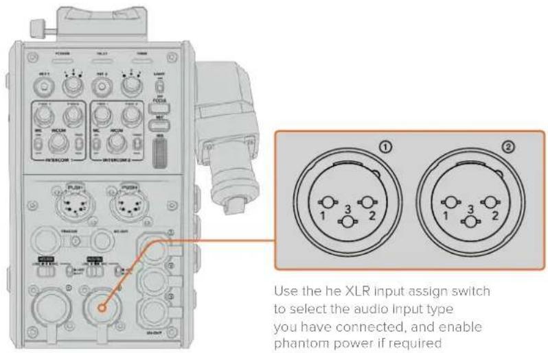 Use the he XLR input assign switch to select the audio Input type you have connected, and enable phantom power if required