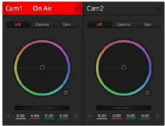 Cam1 On Air Lift Gamma Gain 0.00 0.00 0.00 0.00 Cam2 Lift Gamma Gain 0.00 0.00 0.00 0.00