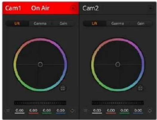 Cam1 On Air Lift Gamma Gain 0.00 0.00 0.00 0.00 Cam2 Lift Gamma Gain 0.00 0.00 0.00 0.00