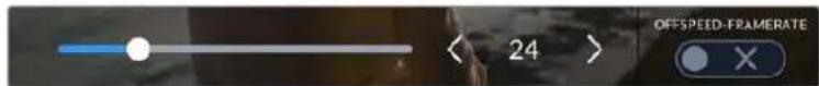 < 24 > OFFSPEED-FRAMERATE X