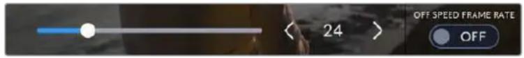 OFF SPEED FRAME RATE 24 > OFF