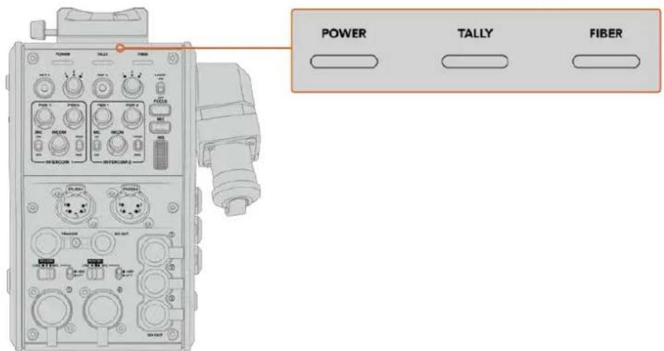 POWER TALLY FIBER