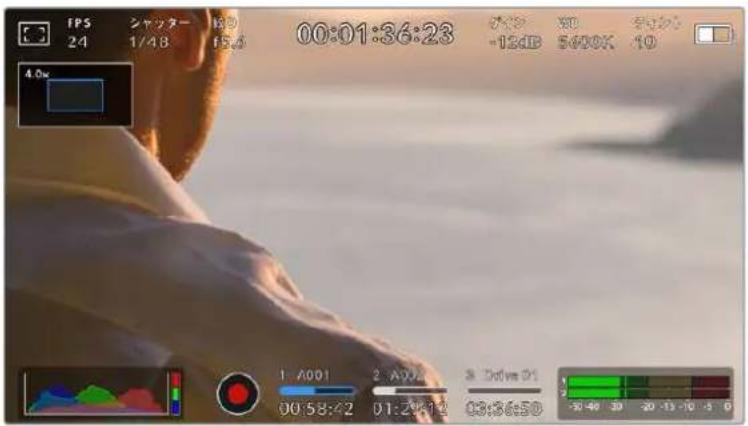 FPS 24 シャッター 1/48 15:0 00:01:36:23 -12dB 5600K -10 4.0x 1 A001 00:58:42 2 A002 01:29:14 3 Dive 01 03:36:50 -30 40 30 20 13 10 5 0