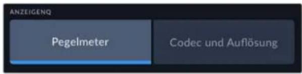ANZEIGENQ Pegelmeter Codec und Auflösung