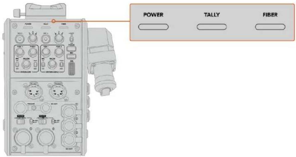 POWER TALLY FIBER