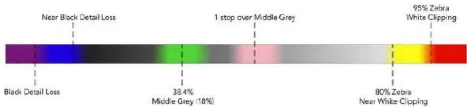 Blackmagic Design Ursa Studio Viewfinder G2 - False Color - 1