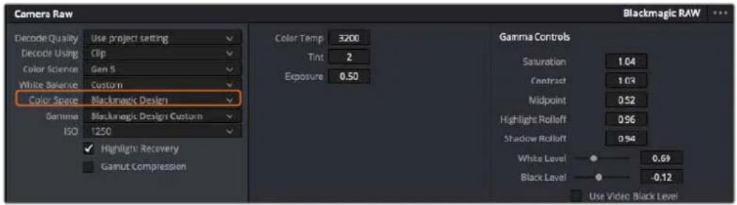 Camera Raw Blackmagic RAW Decode Quality Use project setting Decode Using Clip Color Science Gen 5 White Balance Custom Color Space Blackmagic Design Gamma Blackmagic Design Custom ISO 1250 Highlight Recovery Gamut Compression Color Temp 3200 Tint 2 Exposure 0.50 Gamma Controls Saturation 1.04 Contract 1.03 Midpoint 0.52 Highlight Rolloff 0.96 Shadow Rolloff 0.94 White Level 0.69 Black Level -0.12 Use Video Black Level