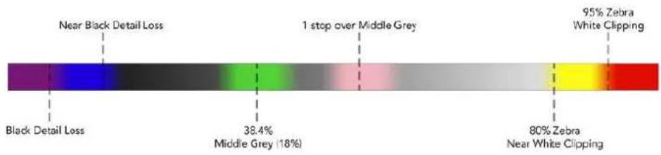 Blackmagic Design Ursa Studio Viewfinder G2 - False Color - 1