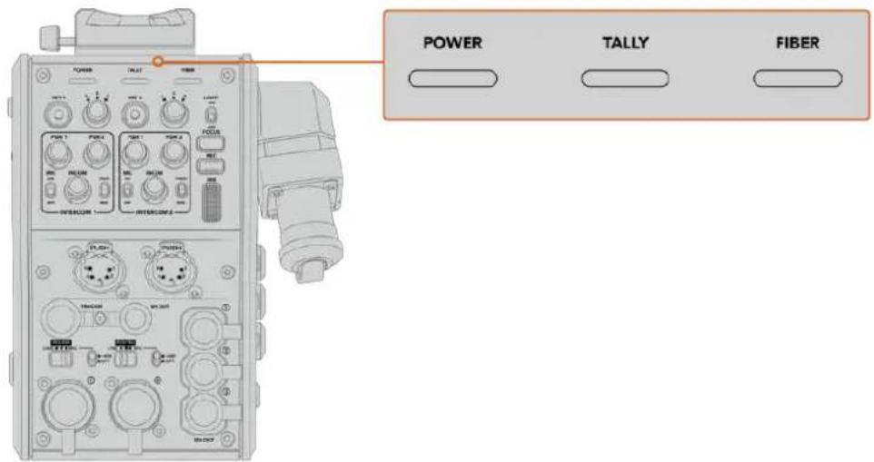 POWER TALLY FIBER