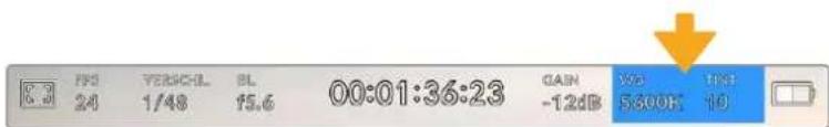 8:9 24 VERSO-0L 1/48 BL 15.6 00:01:36:23 GAIN -12dB X5 S300K TSS 10