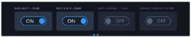 PAD XL2 1 -20dB PAD XL2 2 -20dB PAD CAM MLE -25dB CAM MICOLOR CUT FILTER ON ON OFF OFF