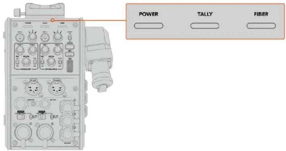 POWER TALLY FIBER