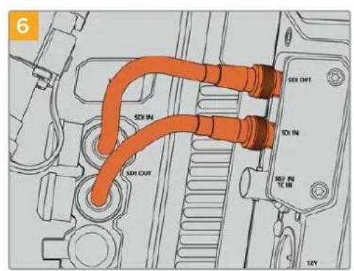 6 SDI OUT SDI IN SDI IN SDI OUT SDI IN TE IN 12V